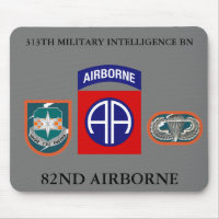 313TH MILITARY INTELLIGENCE BATTALION 82ND ABN