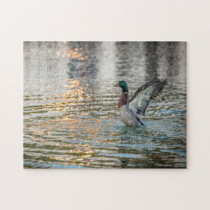 3274-Male Mallard Splashing in Pond Puzzle