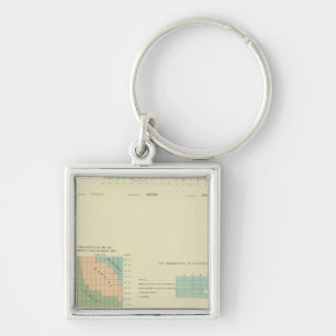 32 Conjugal condition, divorced 1890 Key Ring