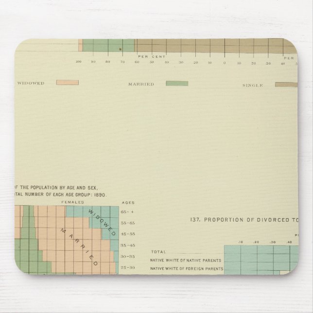 32 Conjugal condition, divorced 1890 Mouse Pad (Front)