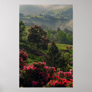 32 In Late Spring Mountain Forest Poster