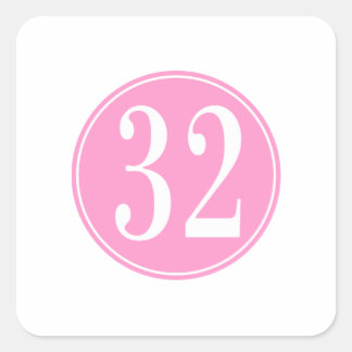 #32 Pink Circle Square Sticker