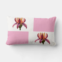 33 x 53.34 cm Flor Lumbar