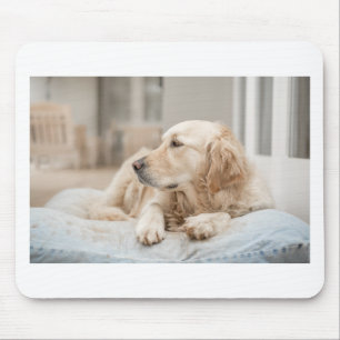 34137641_xxl mouse pad