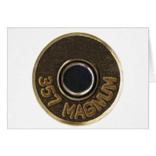 357 Magnum brass shell casing