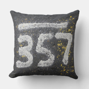 357 Mason's and Angel Number Cushion