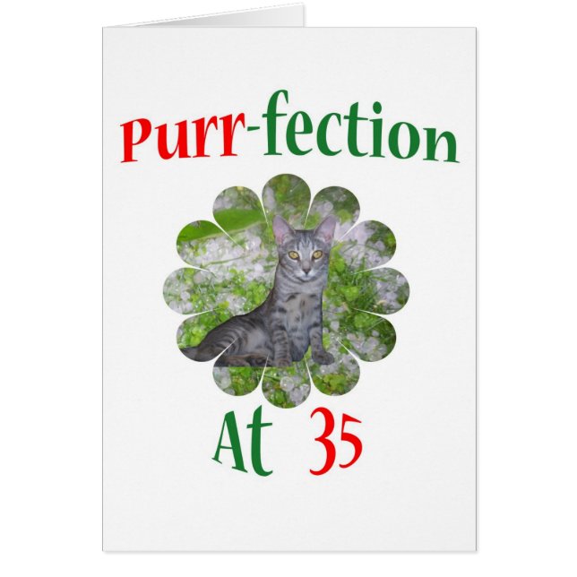 35 Purr-fection (Front)