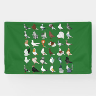 36 Pigeon Breeds Banner