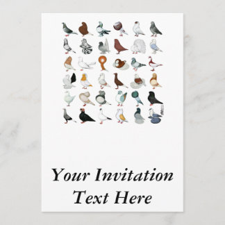 36 Pigeon Breeds Invitation