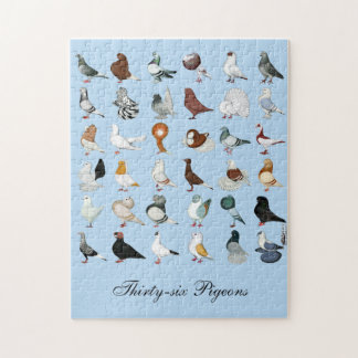 36 Pigeon Breeds Jigsaw Puzzle
