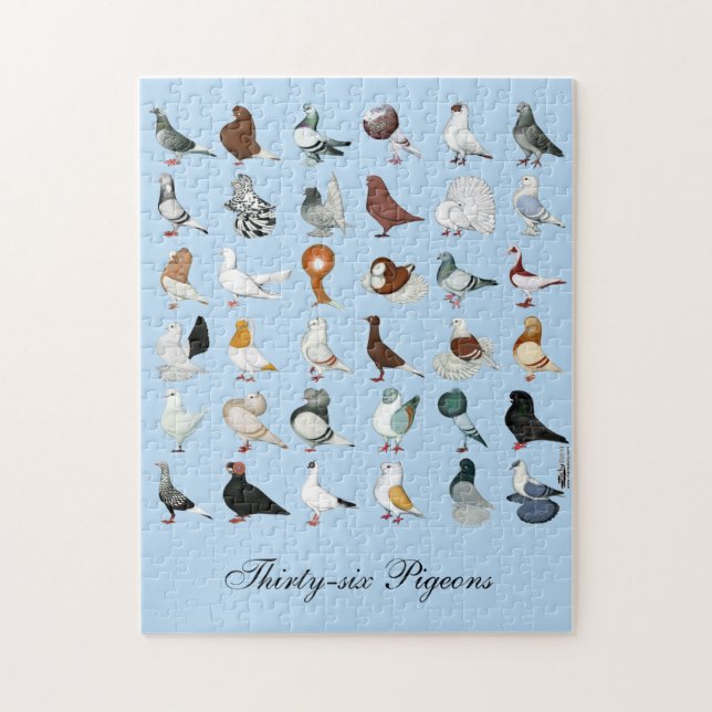 36 Pigeon Breeds Jigsaw Puzzle (Vertical)
