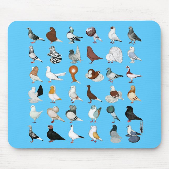 36 Pigeon Breeds Mouse Pad (Front)
