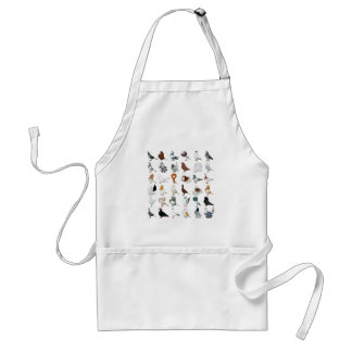 36 Pigeon Breeds Standard Apron