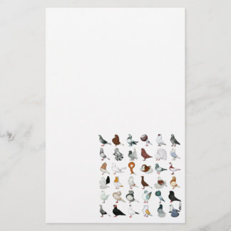 36 Pigeon Breeds Stationery