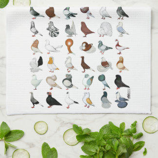 36 Pigeon Breeds Tea Towel