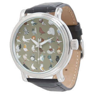 36 Pigeon Breeds Watch