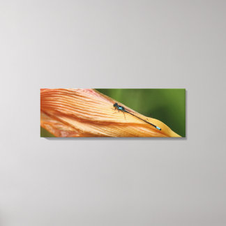 36" x 12", 1.5", Single Canvas print