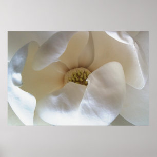 36" x 24" magnetic poster, value matte poster