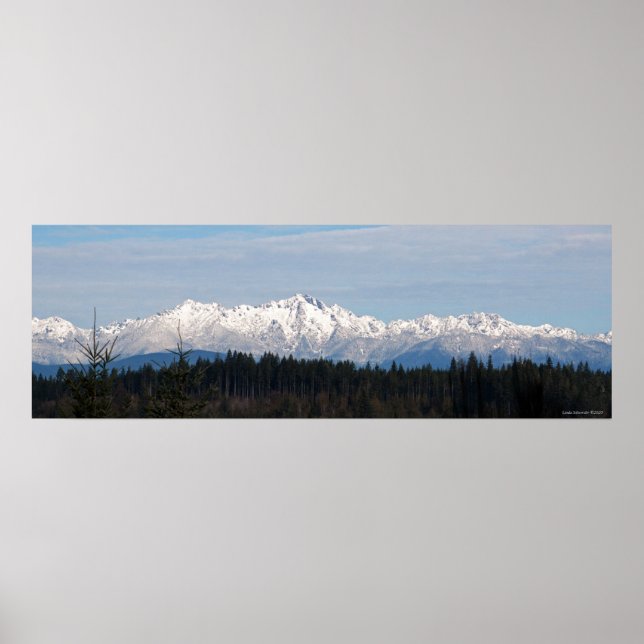 36X12 Olympic Mountain Range Poster (Front)
