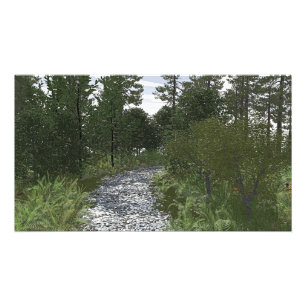 36x24" paper poster with "Stoney Way" image
