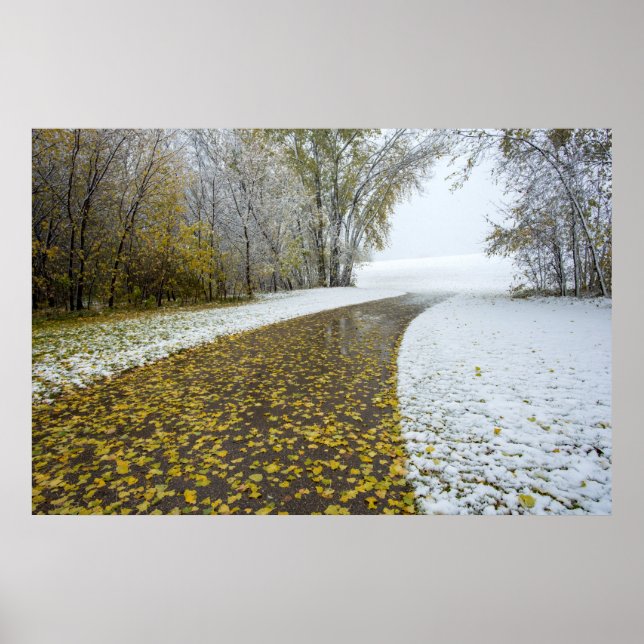 36x24 Wall Poster (Front)