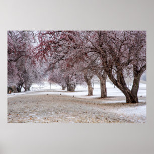 36x24 Wall Poster