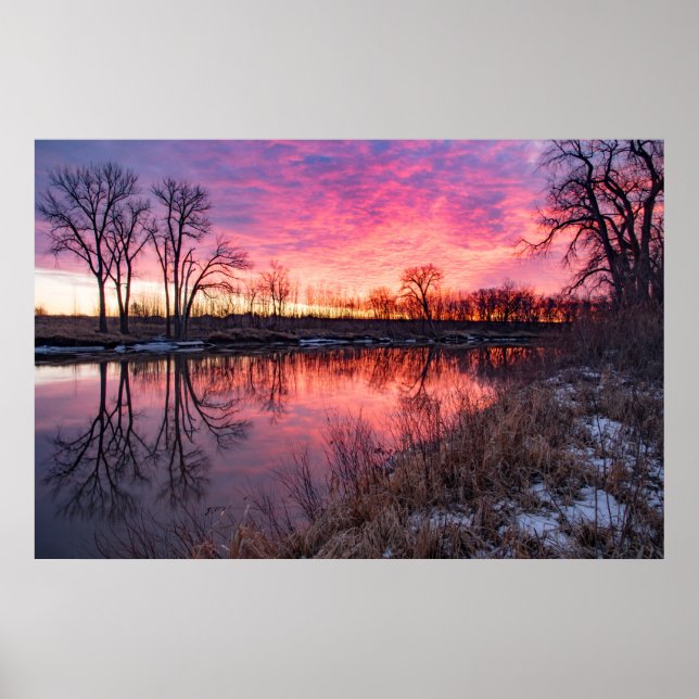 36x24 Wall Poster (Front)