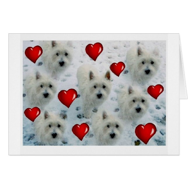 3.5 2.7 westie hearts new xvz 3.5 2.7 z.jpg (Front Horizontal)