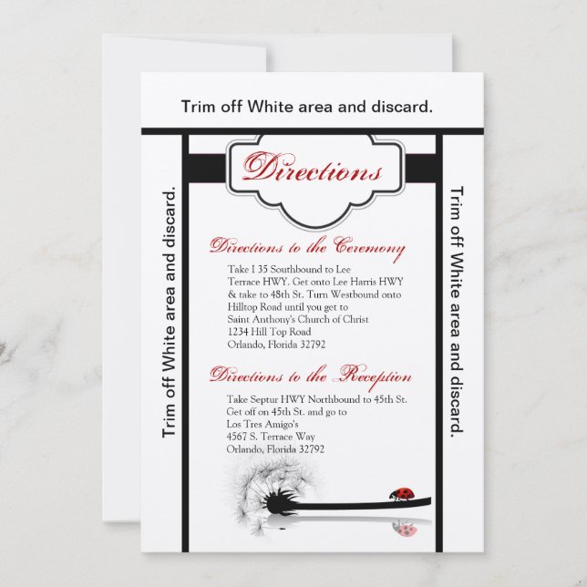 3.5x6 Directions Card Lady Bug Dandilion Flower (Front)