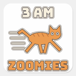 3 AM Zoomies Funny Chaotic Cat Square Sticker