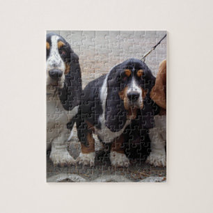 3 Basset_hound_puppies Jigsaw Puzzle