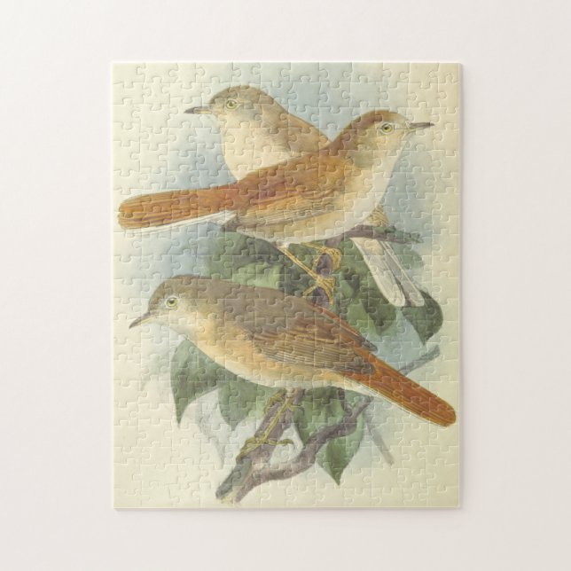 3 Birds Perched on a Branch Puzzle (Vertical)