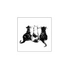 3 Black and White Cat illustration
