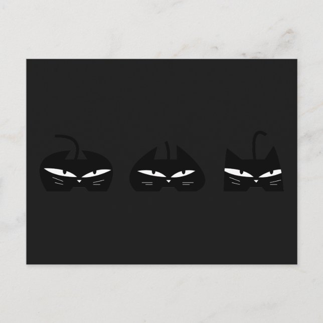 3 Black Cats in night Postcard (Front)