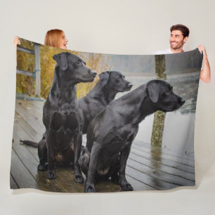 3 BLACK LABS FLEECE BLANKET