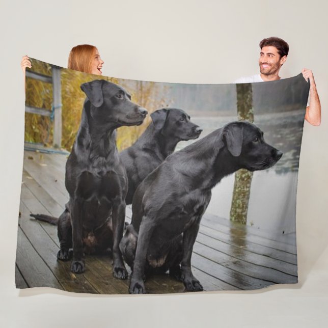 3 BLACK LABS FLEECE BLANKET (In Situ)