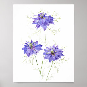 3 blue purple nigella flower flowers wildflower poster