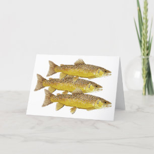 3 Brown Trout Card