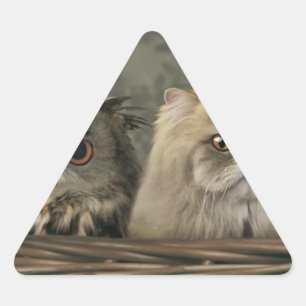 3 Cats and a Owl in a Basket Triangle Sticker