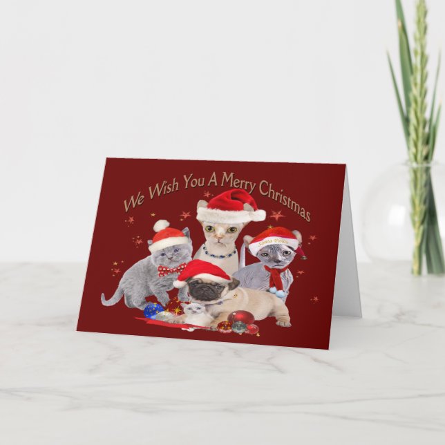 3 cats and a pug cards (Front)