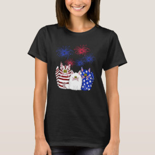 3 Cats Kitten Firework American Flag T-Shirt