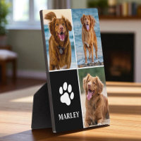 3 Collage Photo Dog Lover Paw Photo 