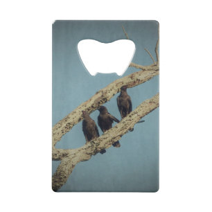 3 Crows