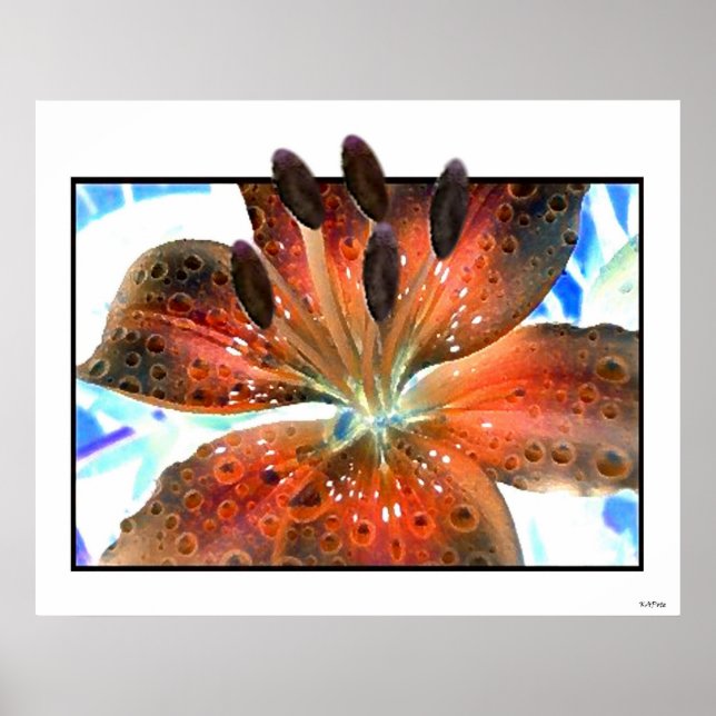 3-D Art Lilie Poster (Front)