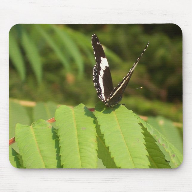 3-D Butterfly Mouse Pad (Front)