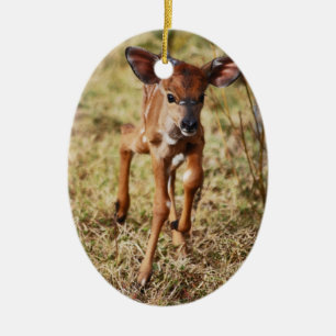 3 day old baby Nyala deer Ceramic Tree Decoration