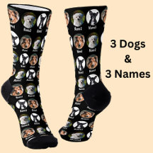 3 Dogs, 3 Names, Dog Photo - Personalized Black