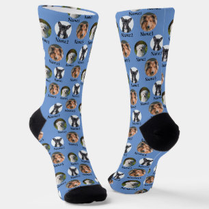3 Dogs & Names Personalised Pet Photos on Blue     Socks