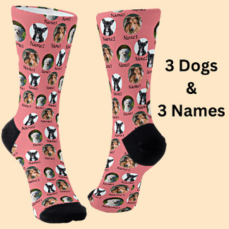 3 Dogs & Names Personalised Pet Photos on Pink Socks