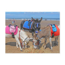 3 Donkeys